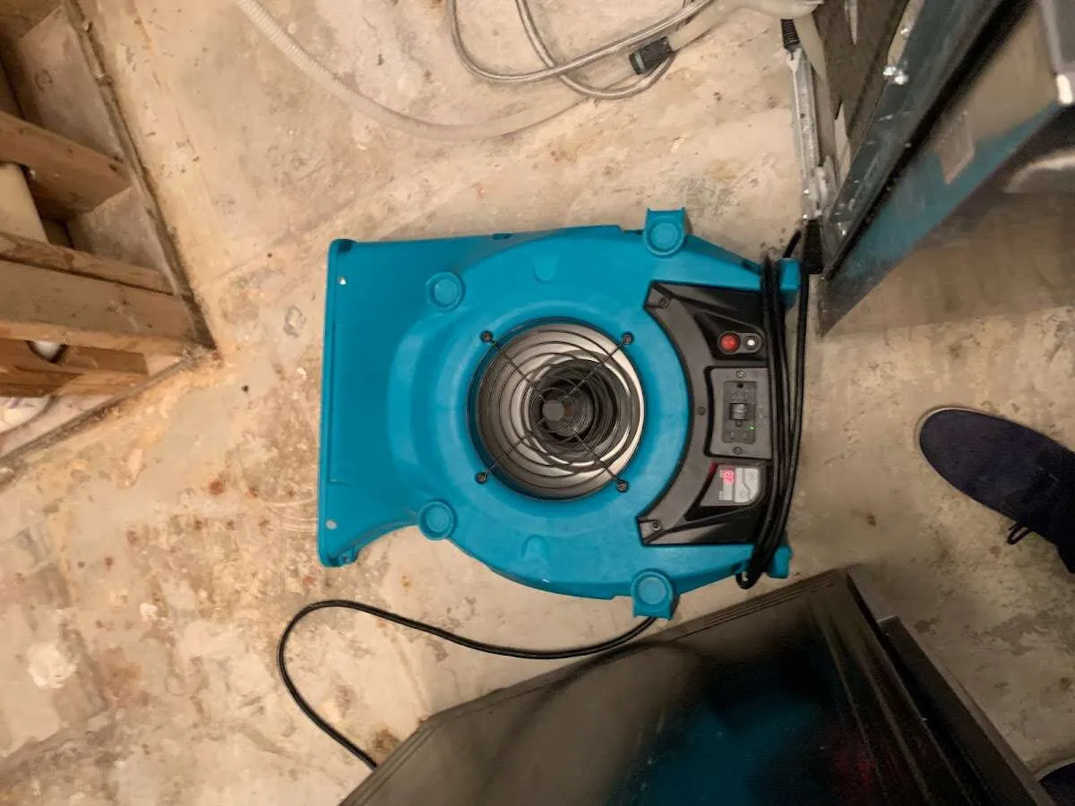 Air mover drying equipment for Mold Remediation & Removal in Oro Valley
